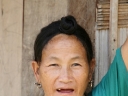 gibbon (74)